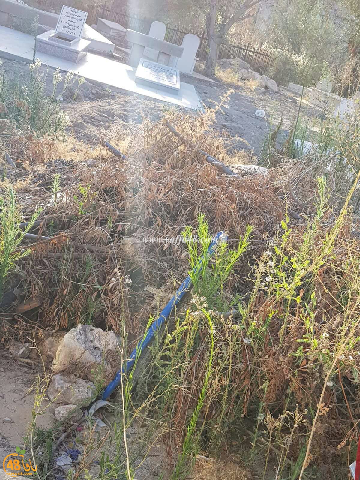 ramla maqbaraja (6).jpg